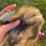 Brosse sous poils chien - CaniSmooth photo review