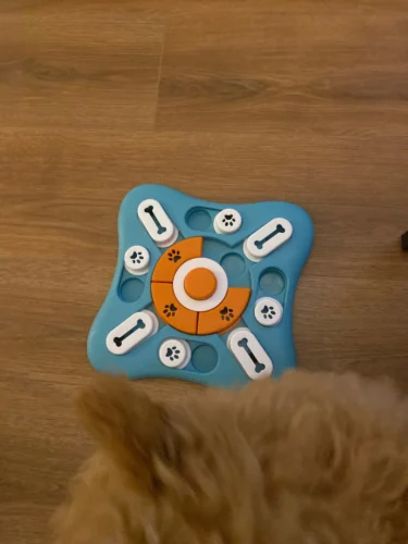Puzzle sonore pour chien - DogIntel photo review