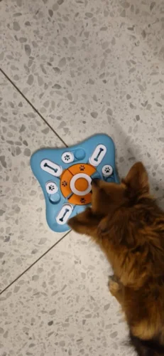 Puzzle sonore pour chien - DogIntel photo review