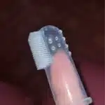 Brosse - LissePaws photo review