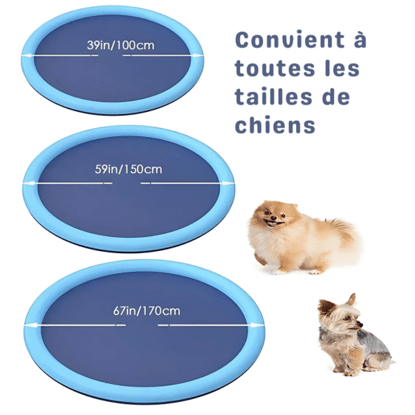 tapis arroseur pour chien tailles