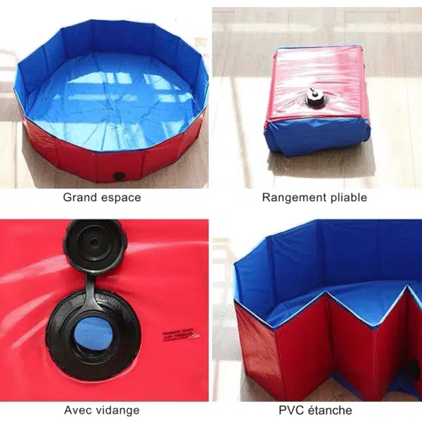 piscine chien Grand espace