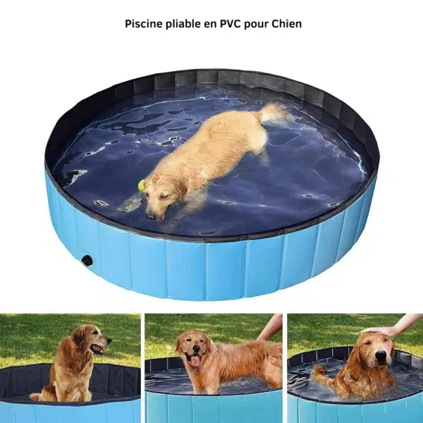 Piscine pliable en PVC pour Chien