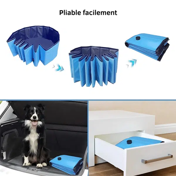 Piscine pour chien bleu Pliable facilement