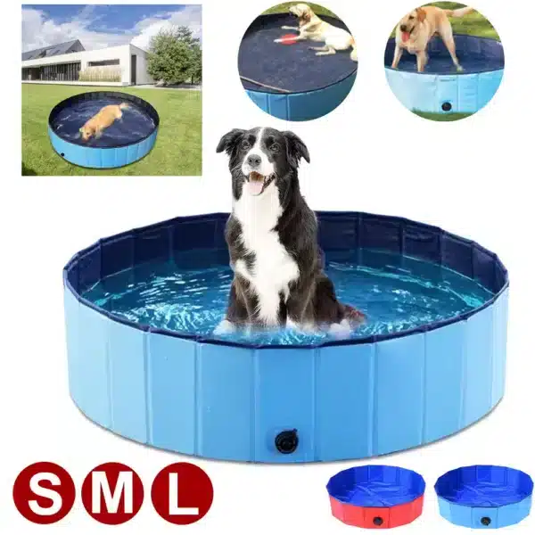Piscine pour chien