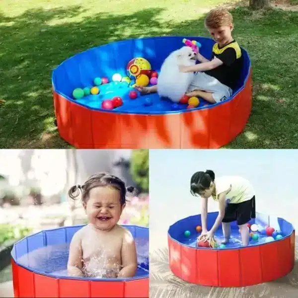 Piscine pour chien jeux